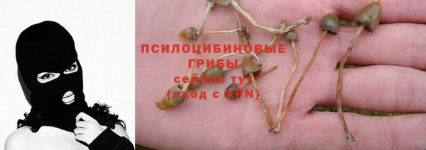 дурь Алзамай