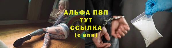 твердый Алексин