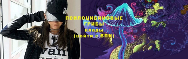 дурь Алзамай