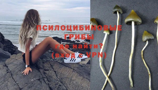 дурь Алзамай
